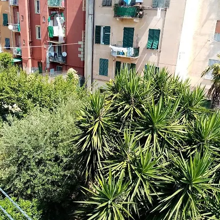 Casa Marina Appartamento *